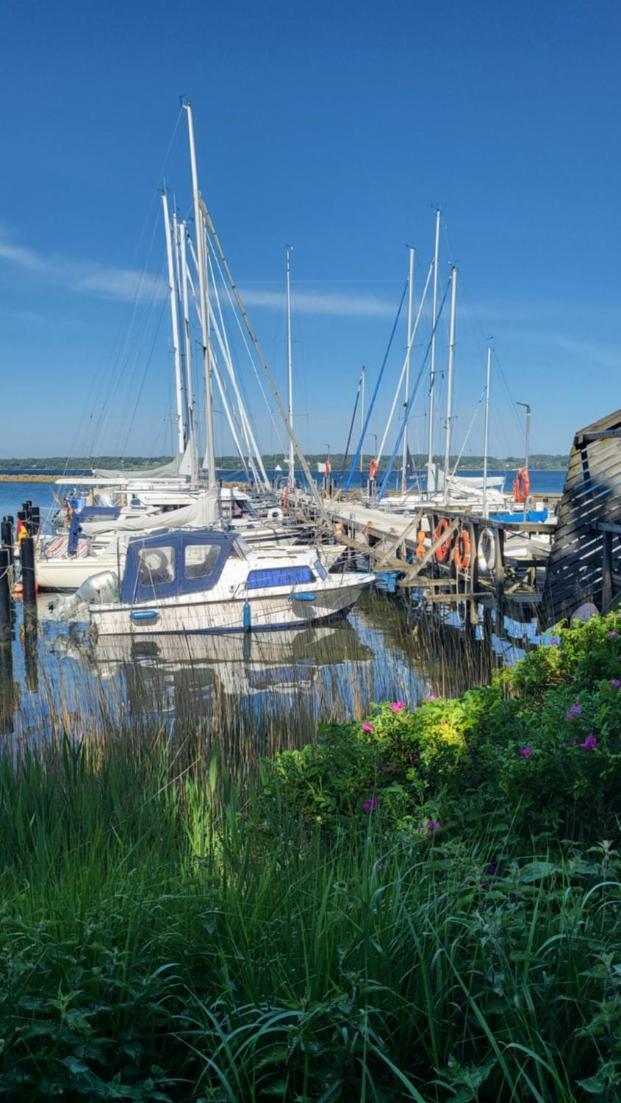 Kurpark Appartement Lyksborg Eksteriør billede